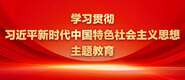 男人操B网站学习贯彻习近平新时代中国特色社会主义思想主题教育_fororder_ad-371X160(2)